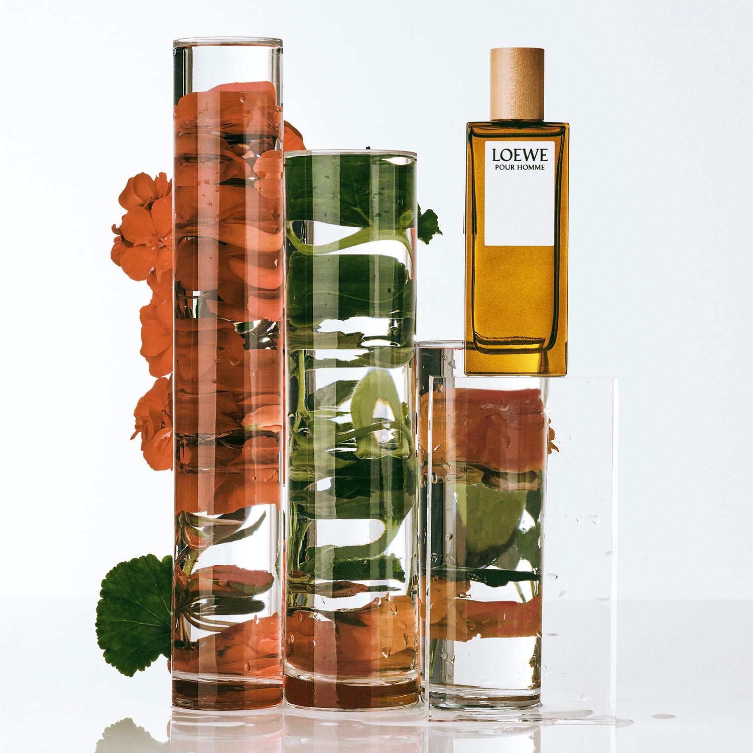 Loewe pour homme opiniones on sale